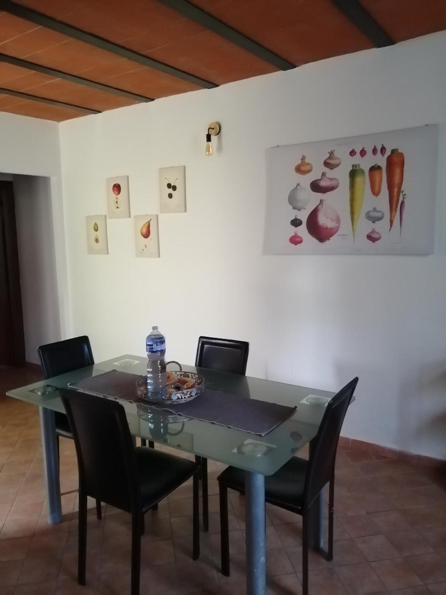 A Casa Mia Lejlighed Pisa Eksteriør billede