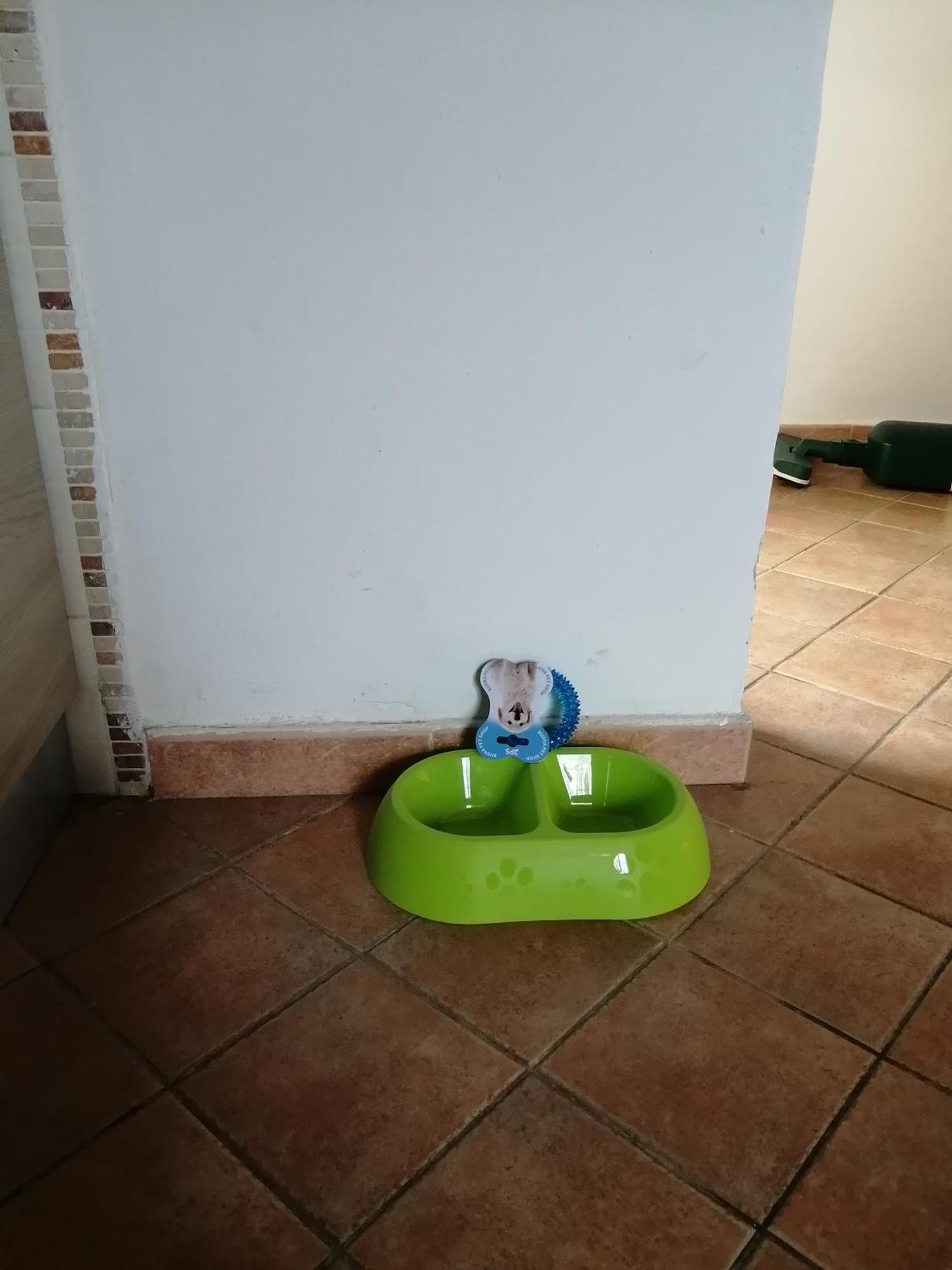 A Casa Mia Lejlighed Pisa Eksteriør billede